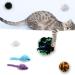 QUOZUO 32-Piece Cat Toy Variety Pack - Best Cat Toys for Kittens & Cats | International Shipping Available - Buy Online on GoSupps.com