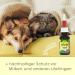 Buy MilbenEx Ear Cleaner 50 ml - Effective Ear Care Solution for Pets | International Shipping Available - Buy Online on GoSupps.com