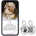 Buy MyLuckytag Stainless Steel Cat QR Code Tags - Pet Profile Location Tracking & Email Alerts - Silver - Buy Online on GoSupps.com