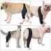 INOOMP Step in Dog Harness Dog Knee Cover Puppy Leg Cover Dog Leg Cover Dog Supplies Pet Injury Knee Puppy Brace Dog Knee Protectors Dog Knee Knee for Dogs M As Shown - Buy Online on GoSupps.com