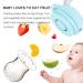 Silicone Baby Fruit Feeder with Mesh Pacifier Teethers - Blue Silicone Nipple, Popsicle Mold for Infants Teething - Fresh Food Feeder for Babies - Buy Online on GoSupps.com