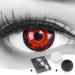 Buy Funnylens 1 Pair Colored Red Black Crazy Fun Cataclysm Bloody Eyes Year Contact Lenses - Top Quality for Halloween & Carnival with Free Lens Tanks! - Buy Online on GoSupps.com