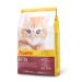 Josera Kitten (1 x 400 g) |Cat food for optimal developmentSuper premium dry food for growing cats1 Pack 400 g (1 Pack)