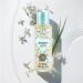 Hybrid & Company Women Shining Lily Cake Fragrance Body Mist 250Ml Shining Lily Cake 8.4 Fl Oz (Pack of 1) - Buy Online on GoSupps.com