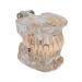 Buy DYTAH Transparent Teeth Model - Removable Pathological Tooth for Dental Training & Examination | International Shipping - Buy Online on GoSupps.com