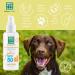 MENFORSAN SPF 50 Sun Protection for Dogs & Cats - 60ml | Optimal Pet Care - Buy Online on GoSupps.com