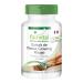 Fairvital | Panax Red Ginseng Extract 400mg 90 Capsules - Korean Ginseng - C.A. Meyer