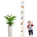 Fanelod Height Diagram - Kids' Growth Chart with Cartoon Design | Pine & Canvas Textures - Perfect for Measuring Children's Growth - Buy Online on GoSupps.com