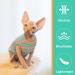 OUOBOB Sphynx Cat Clothing - Breathable Summer Shirts & Sweaters for Hairless Cats | Stylish Stripes for Sphynx Cornish Rex & Devon Rex - Buy Online on GoSupps.com