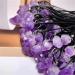 raw Crystals Stones Amethyst Crystal pendent for Home Decoration 1PC - Buy Online on GoSupps.com