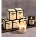 Buy Scented Candles - 7 oz Natural Soy Wax Gifts for Significant Others | Relaxation & Enjoyment Souvenirs - White & Bluebell - Buy Online on GoSupps.com