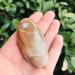 Crystal Rough 1pc raw Natural White Agate Stone Colors Quartz Gemstone Palm Size Stone for Sale - Buy Online on GoSupps.com