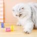 Xzhixiao 20-Part Cat Spring Toy Set | Colorful Coil & Feather Toys for Cats | Novelty Pet Companions | International Shipping - Buy Online on GoSupps.com