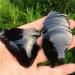 2 Piece Natural Obsidian Rough Rough/raw Stone Crystal Surface Very Shiny Beautiful (Color: 30g-40g Size: 2pcs) ERTEYIN - Buy Online on GoSupps.com
