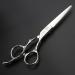 6-inch personalized rose printing hair scissors set hair stylist barber special tools (Scissors set) - Buy Online on GoSupps.com