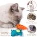 Set of 10 Catnip Toys for Indoor Cats | Interactive & Squeaky Kitten Supplies for Dental Health | Perfect Gift for Cat Lovers - Buy Online on GoSupps.com