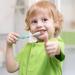 Patelai 24 Pcs Kids Toothbrush Set | Soft Bristles for Age 2+ Children | Boys and Girls Cute Colorful Design with Suction Cup Storage - Buy Online on GoSupps.com