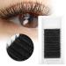 Natural V-Shaped D Curve 0.05mm False Eyelashes - Premium Eyelash Extensions (11mm) - Buy Online on GoSupps.com
