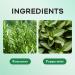 Rosemary Mint Hair Mask - Deep Conditioning for Damaged Dry Frizzy Hair (380ML) - Anti-Break Bond Repair Treatment - Buy Online on GoSupps.com