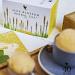 Forever Living Aloe Blossom Herbal Tea Drink Tea with Aloe Vera Flowers Contains No Colorants or Preservatives and Contains No Caffeine. - Buy Online on GoSupps.com