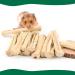 BWOGUE 100g Sweet Bamboo Chew Toy for Small Pets - Squirrel, Rabbits, Guinea Pigs, Chinchilla, Hamster - Buy Online on GoSupps.com