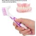Denture Cleaning Brush Set - Double Sided Toothbrush for Oral Care & Plaque Removal - 2pcs False Teeth Brushes for Men and Women - Buy Online on GoSupps.com