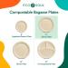 ECO SOUL 100% Compostable 9 Inch Paper Plates 100-Pack - Biodegradable & Eco-Friendly Disposable Party Plates - Buy Online on GoSupps.com