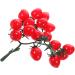 HOMSFOU 5pcs String Simulated Cherry Tomatoes Realistic Cherry Toys Simulation Cherry Tomatoes Artificial Tomatoes Faux Cypress Garland Fake Peaches Fake Cherries Child Pvc Fake Food Fruit Redx5pcs 18X16CMx5pcs - Buy Online on GoSupps.com