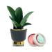 Bath & Body Works Sleek Botanical Wallflowers Fragrance Plug and a Strawberry Lip Balm