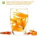 PlantGift Fragrant Natural Lily Flowers 35G/1.23oz Organic Dried Lilium Flowers Health Tea Chinese Lily Tea - Buy Online on GoSupps.com