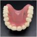 Vinbcorw Dental Model - Maxilla Mini 4 Implant Screws for Mobile Prosthesis Repairs | Removable Pink Design - Buy Online on GoSupps.com