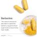 Just Glow Berberine 500mg 120 Capsules - Potency 100% Guaranteed - 3rd Party Tested - Equivalent to Berberine HCl 553mg per Capsule - Supplement Supports Healthy Blood Glucose Levels - Made in Canada (2 Months Supply / 1 Bottle) - Buy Online on GoSupps.com