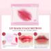 Shop Korean Lip Tint Stain Set - Waterproof Long Lasting & Plumping - 4 Fruit Flavors for Lips & Cheeks - Buy Online on GoSupps.com