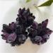 Home Decoration Natural Violet Ghost Phantom Quartz Crystal Cluster Specimen Stones ERTEYIN (Size : 400-500g) - Buy Online on GoSupps.com