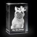 Custom Personalized Pet 3D Crystal Photo | Engraved Cat & Dog Pictures in Glass - Buy Online on GoSupps.com