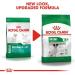 ROYAL CANIN Dog Food Mini Adult 8+ 8kg - Buy Online on GoSupps.com