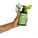 Mielle Rosemary Mint Strengthening Leave-In Conditioner - Pack of 1 - Buy Online on GoSupps.com