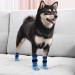 Expawlorer Non-Slip Dog Socks - Soft Breathable Paw Protection for All Dogs - Adjustable Straps & Traction Control - XL Blue (4 Count) - Buy Online on GoSupps.com