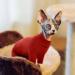 Hjyokuso Sphynx Cat Clothing | Warm Breathable Sweater for Cats | Catwear for Sphynx Cornish Rex Devon Rex & Peterbald | XXL Red Cat Shirt - Buy Online on GoSupps.com