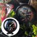 Reptile Thermometer Hygrometer 2 in 1 Reptile Terrarium Temperature Hygrometer Dial Gauges Reptile Thermometer for Lizard Tortoise Spider - Buy Online on GoSupps.com