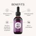 Elderberry Liquid Drops with Vitamin C Immune Support Supplement for Kids & Adults Vegan Gluten Free Non-GMO No Sugar No Artificial Preservatives 2 Month Supply by Drop Supplements - Buy Online on GoSupps.com