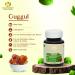 Maharishi Ayurveda Guggul 400mg - Non-GMO Ayurvedic Supplements | 60 Tablets Pack | Laboratory Tested Natural Health Benefits - Buy Online on GoSupps.com