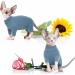 Hjyokuso Sphynx Cat Clothing | Breathable Soft Sweater & Cat Shirt for Sphynx Cornish Rex Devon Rex Peterbald - XS Blue - Buy Online on GoSupps.com