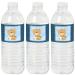 Baby Boy Teddy Bear - Baby Shower Water Bottle Sticker Labels - Set of 20