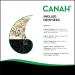 Canah Natural Hemp Seed Raw Shelled (Hulled) Hearts 500 g Vegan High in Protein Fiber Omega 3 & Omega 6 Amino Acids Vitamins and Minerals Certified Kosher + Free Bonus Recipes 500g - Buy Online on GoSupps.com