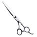 Hair Scissors Hairdressing Scissors Stainless Steel Blade Sharp Hair Scissors Hair Scissors Professional Cutting Scissor for Barber Stylist 6 Inch