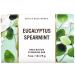 Bath and Body Works Eucalyptus Spearmint Bar Soap 2 Pack - Refreshing Scent - Buy Online on GoSupps.com