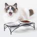 Y YHY Raised Cat Bowls 12oz Elevated Cat Food and Water Bowls with Stand Raised Pet Feeder Elevated Food Feeding Dishes for Cats or Dogs Dishwasher Safe Gift for Cats Dia 4.8in/White 12oz | 354ml White - Buy Online on GoSupps.com