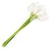 PHTOIT Calla Lily 10 Head Latex Real Touch KC51 White