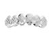 18K Gold-Plated Diamond-Shaped six-Tooth Braces with Silver Upper Teeth